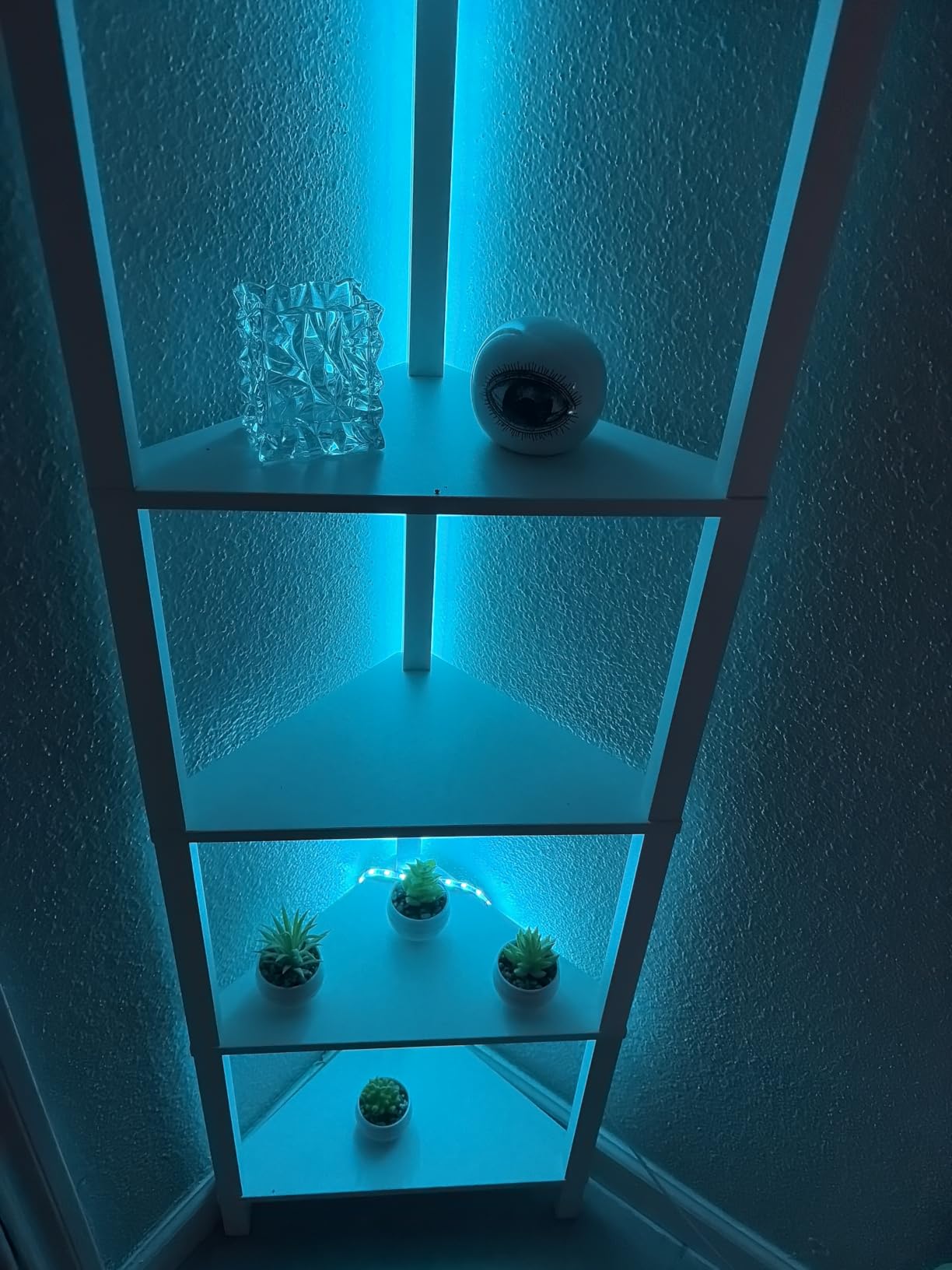 TUTOTAK 6-Tier Corner Bookshelf with LED Light, Corner Shelf customer photo 1