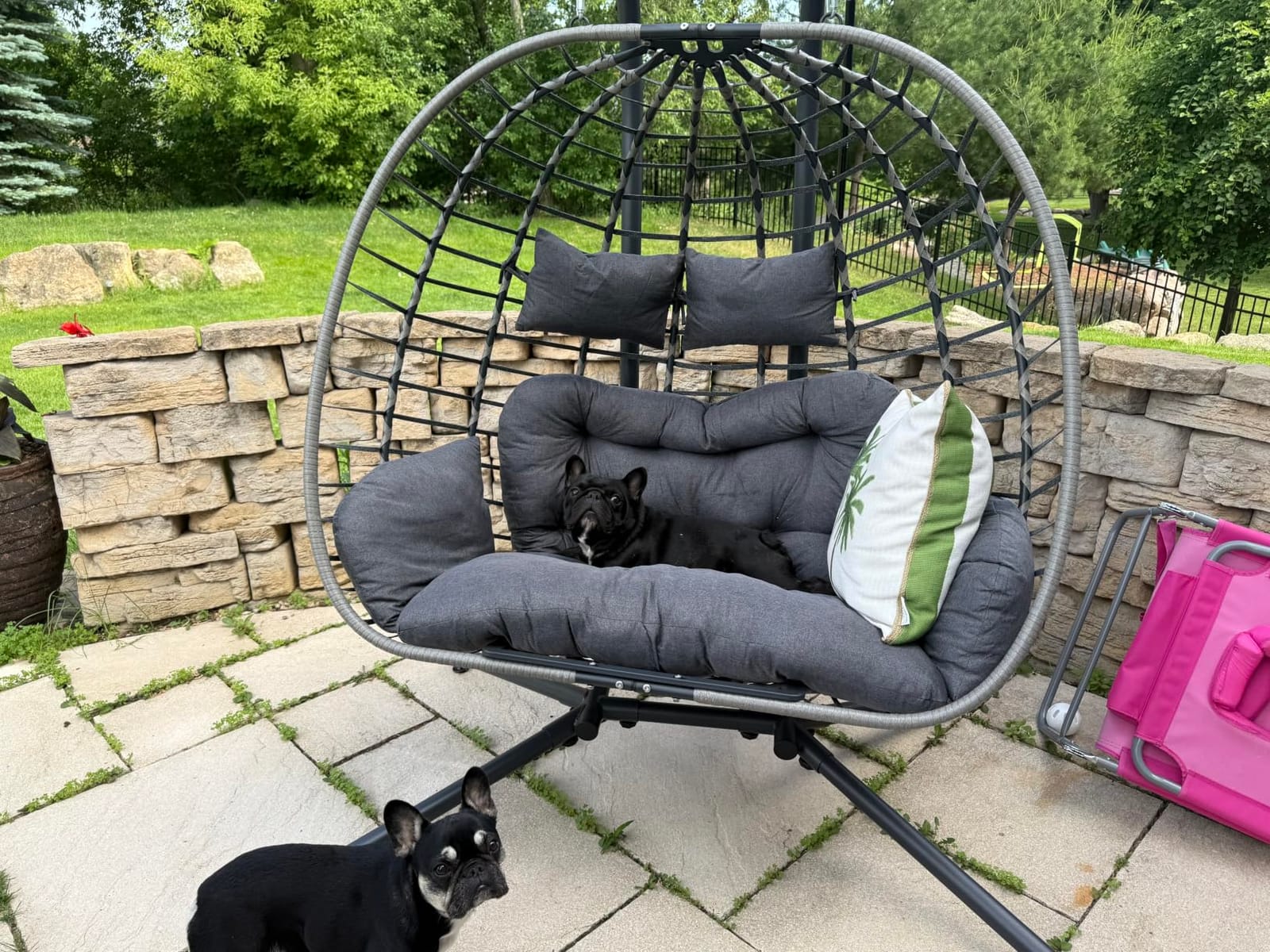 SWITTE Double Egg Chair Outdoor with Stand, Patio Hanging Swing, Grey | Indoor 2 Person Egg Swinging with Cushion, Wicker Loveseat for Porch Balcony Backyard, Cozy Hammock Chairs 680 LBS Capaticy customer photo 1