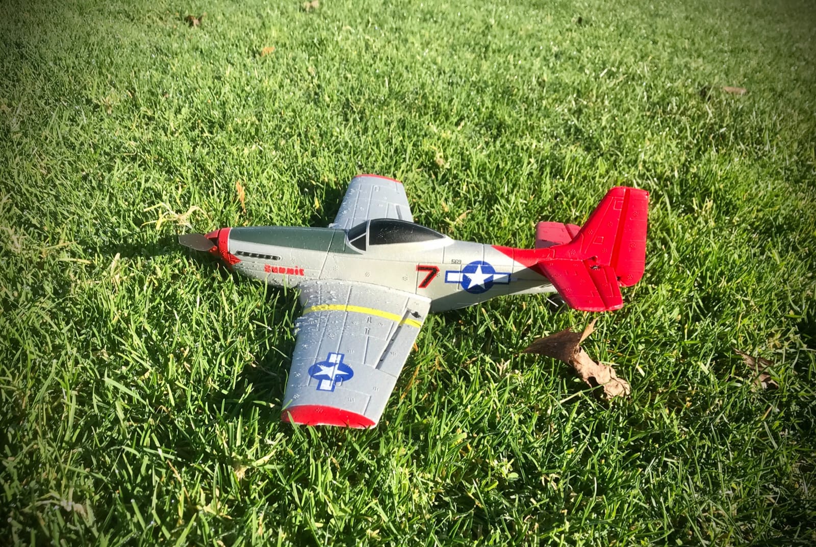 volantexrc RC Plane, 4CH Remote Control Airplane for Beginners & Adults | P51D Mustang, Gyros, Aileron, Aerobatics, 3 Modes, Multi Color customer photo 1