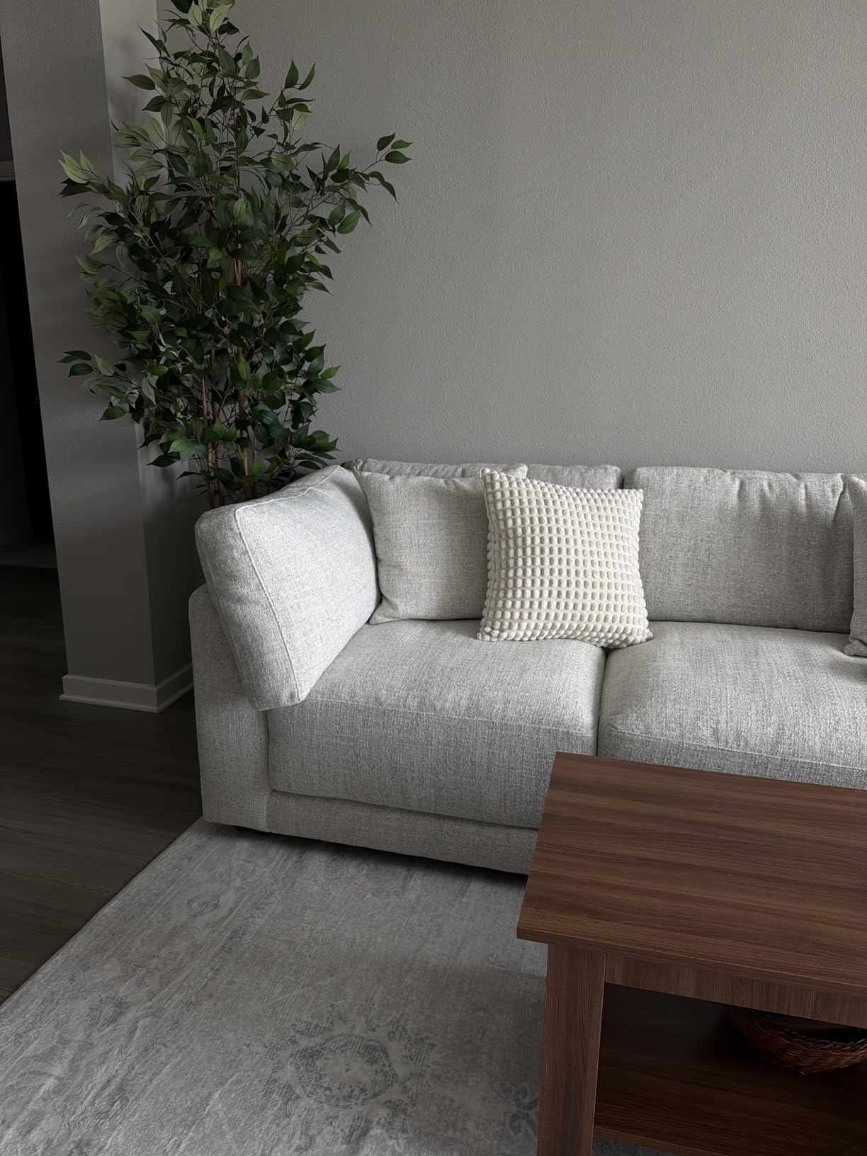 Washable Rugs 5x7 Area Rugs for Living Room,Bedroom,Dining Room Carpet customer photo 2