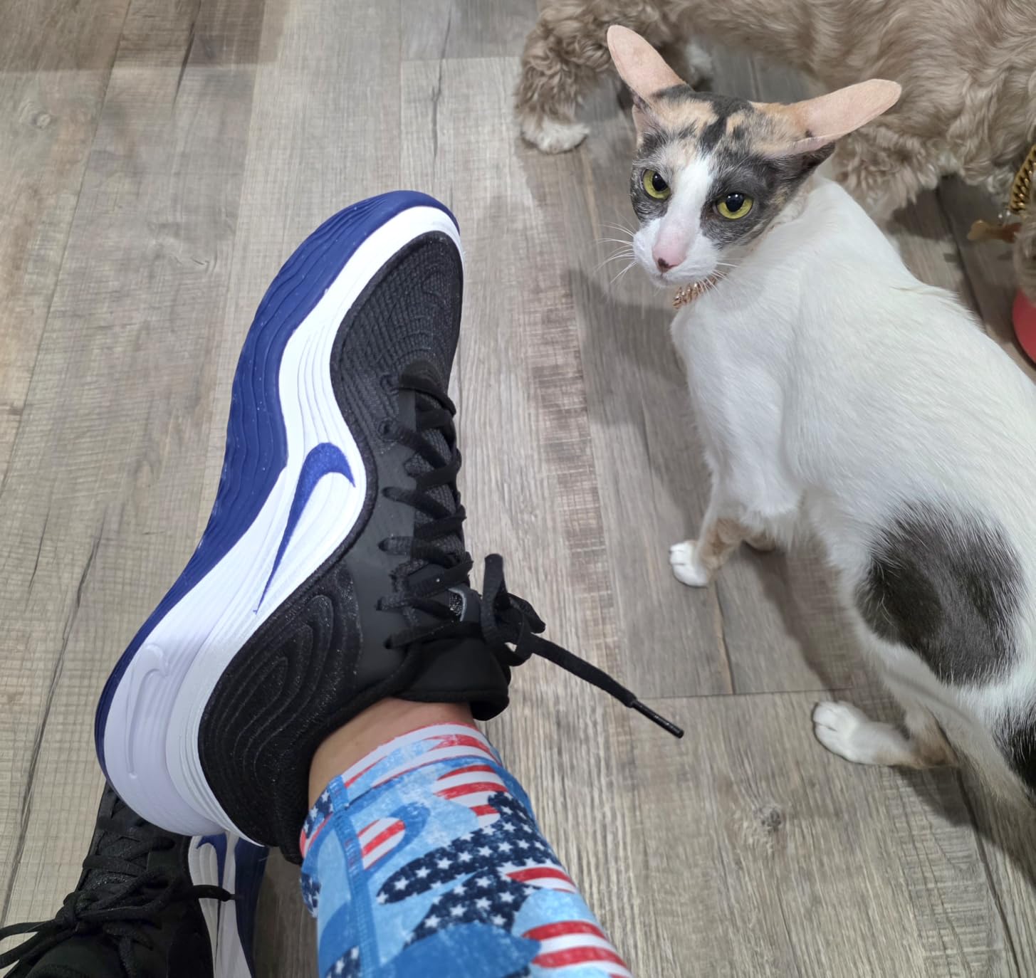 Nike Unisex Adult Precision 8 Mid Basketball Shoes customer photo 2