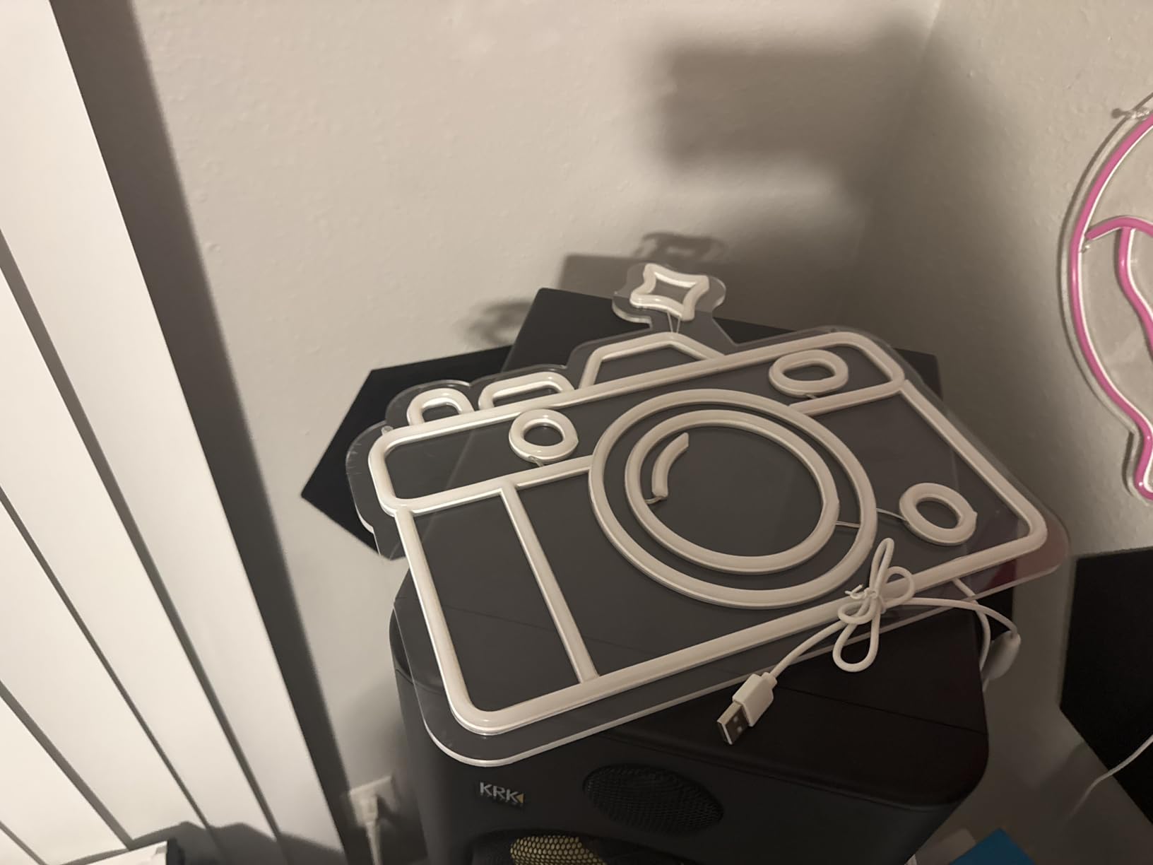 Camera Neon Sign Dimmable LED Light Up Wall Decor Multi-Color Retro Photography Studio Art Vintage Vlogger Background Accessory for Bedroom, Gaming Room, Store Photographer Gifts(13.3 * 12.2in) customer photo 1