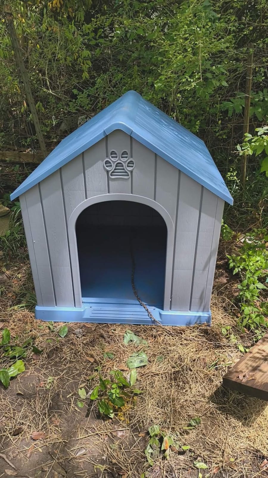 DRATO Large Dog House Indoor Outdoor, Blue, 38.62×36.26×38.07 in | Waterproof, Puppy Shelter with Air Vents and Elevated Floor, Sturdy Dog Kennel for Small to Large Sized Dogs customer photo 2
