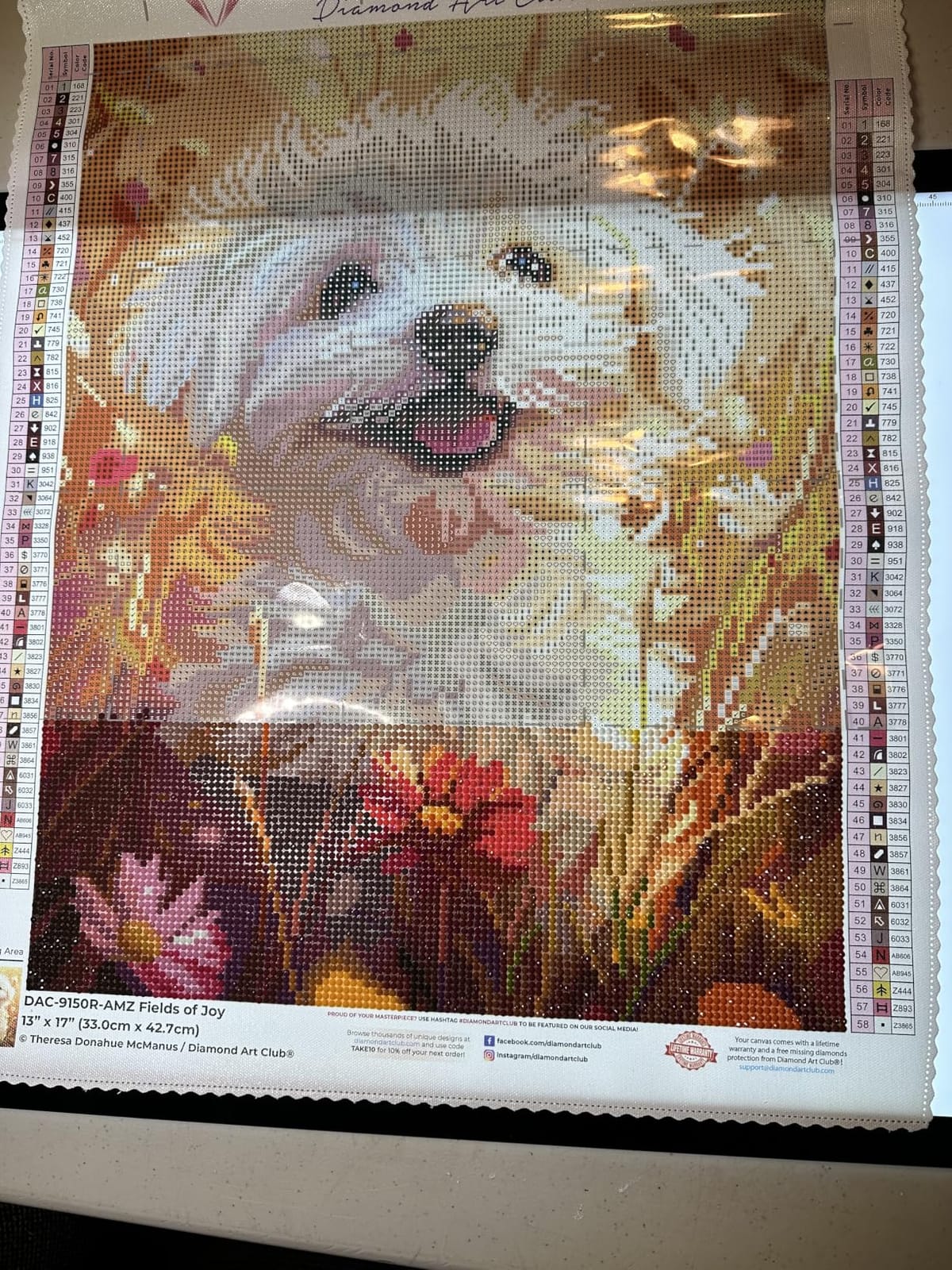 DIAMOND ART CLUB Bird of Joy Diamond Art Kits for Adults customer photo 1