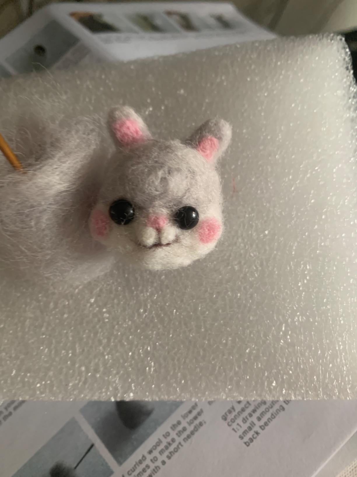 Mayboos 6 Pcs Needle Felting Kit, Felting Kits for Beginners (Cute Cat) customer photo 1