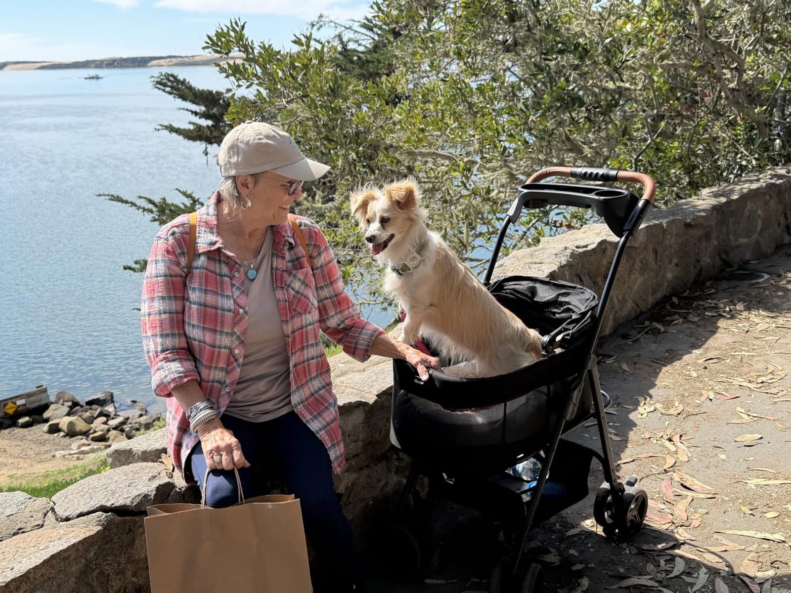 Zoosky 3 in 1 Dog Stroller, Folding Pet Stroller w/Removable Carrier | Small/Medium Dogs and Cats, Waterproof, All-Terrain & 2 Sun Shades, Car Seat, 360° Breathable Mesh customer photo 2