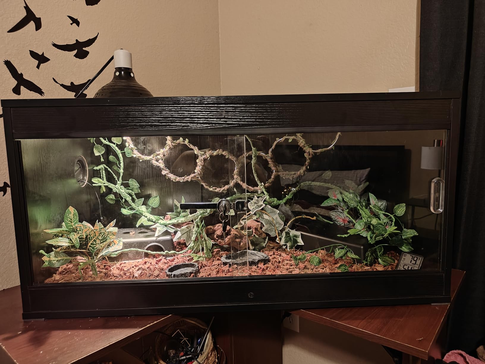 unipaws 110 Gallon Reptile Tank for Lizards, Bearded Dragon Enclosure Cage customer photo 1