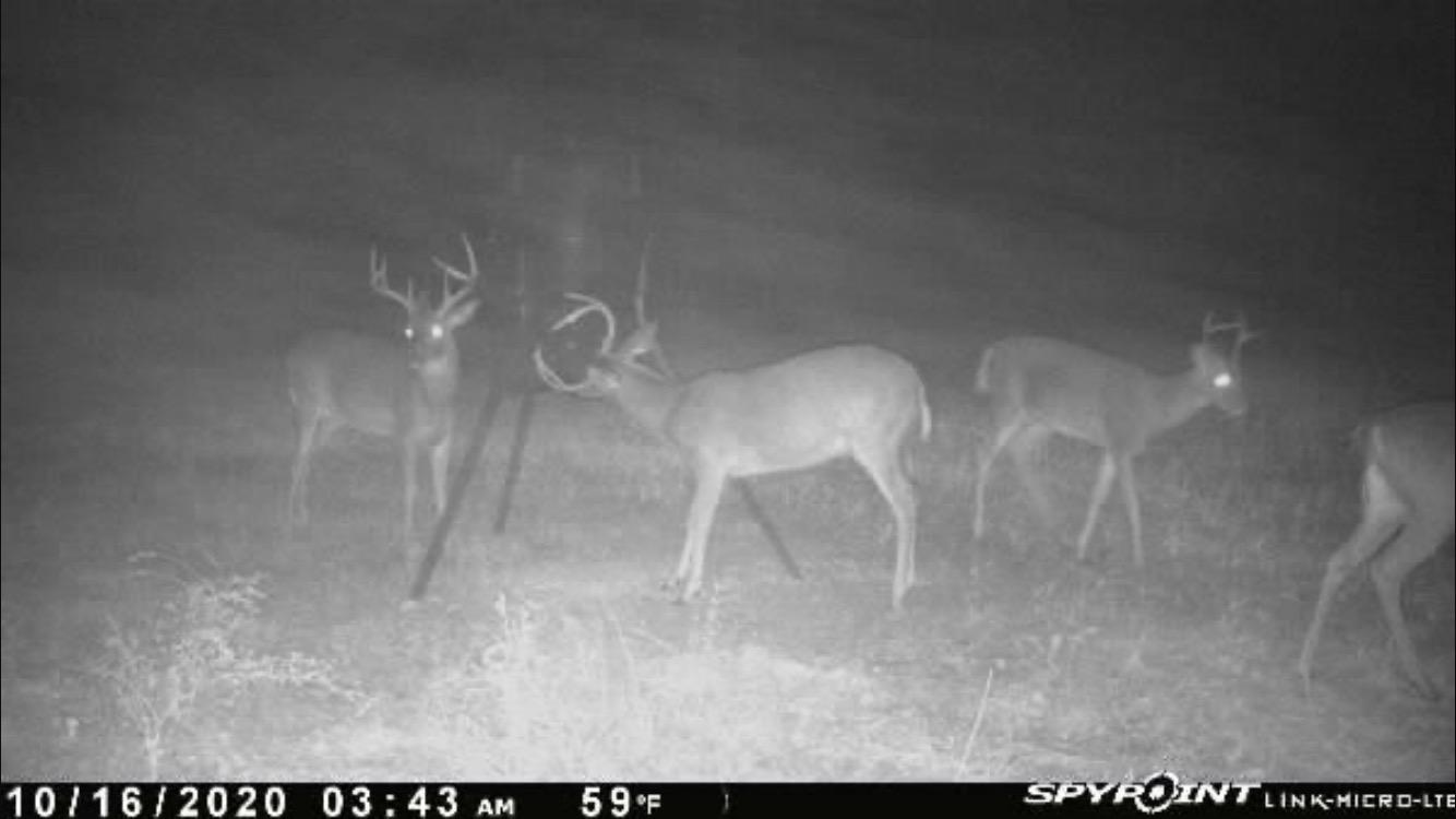 Moultrie Gravity Deer Feeder - Tripod Game Feeder - Easy Conversion Adapter - Protein Pellet Ready - Rugged No-Power Setup for Deer Management customer photo 1