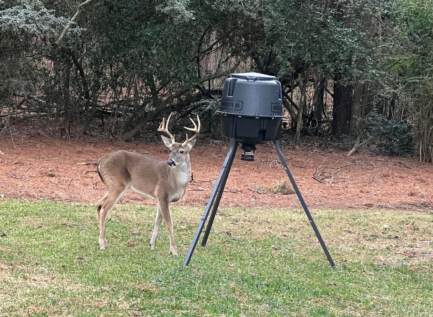 Moultrie 200 Lb Tripod Deer Feeder - Bluetooth App Control customer photo 1
