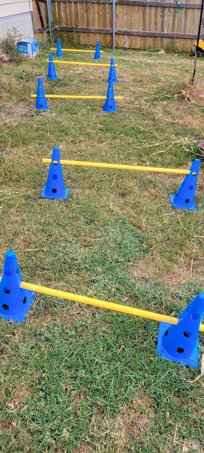 Dog Agility Course Backyard Set, Dog Agility Hurdle Cone Set | w/ Height Adjustable Crossbar for Rehabilitation & Beginners, Dog Agility Equipment for Dog Obstacle Course - 18 Inch customer photo 1