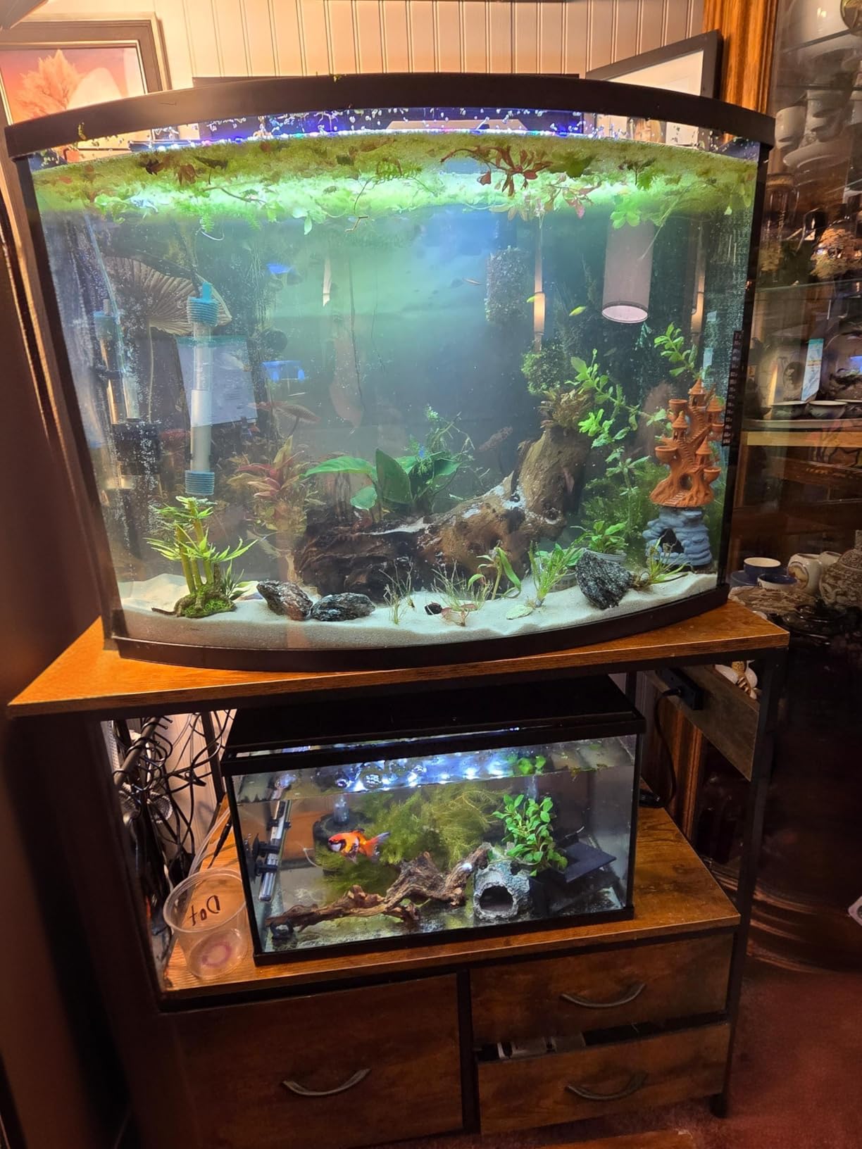Heybly 20-29 Gal Fish Tank Stand with Drawer, Power Outlet,330lbs HAS001BK customer photo 2
