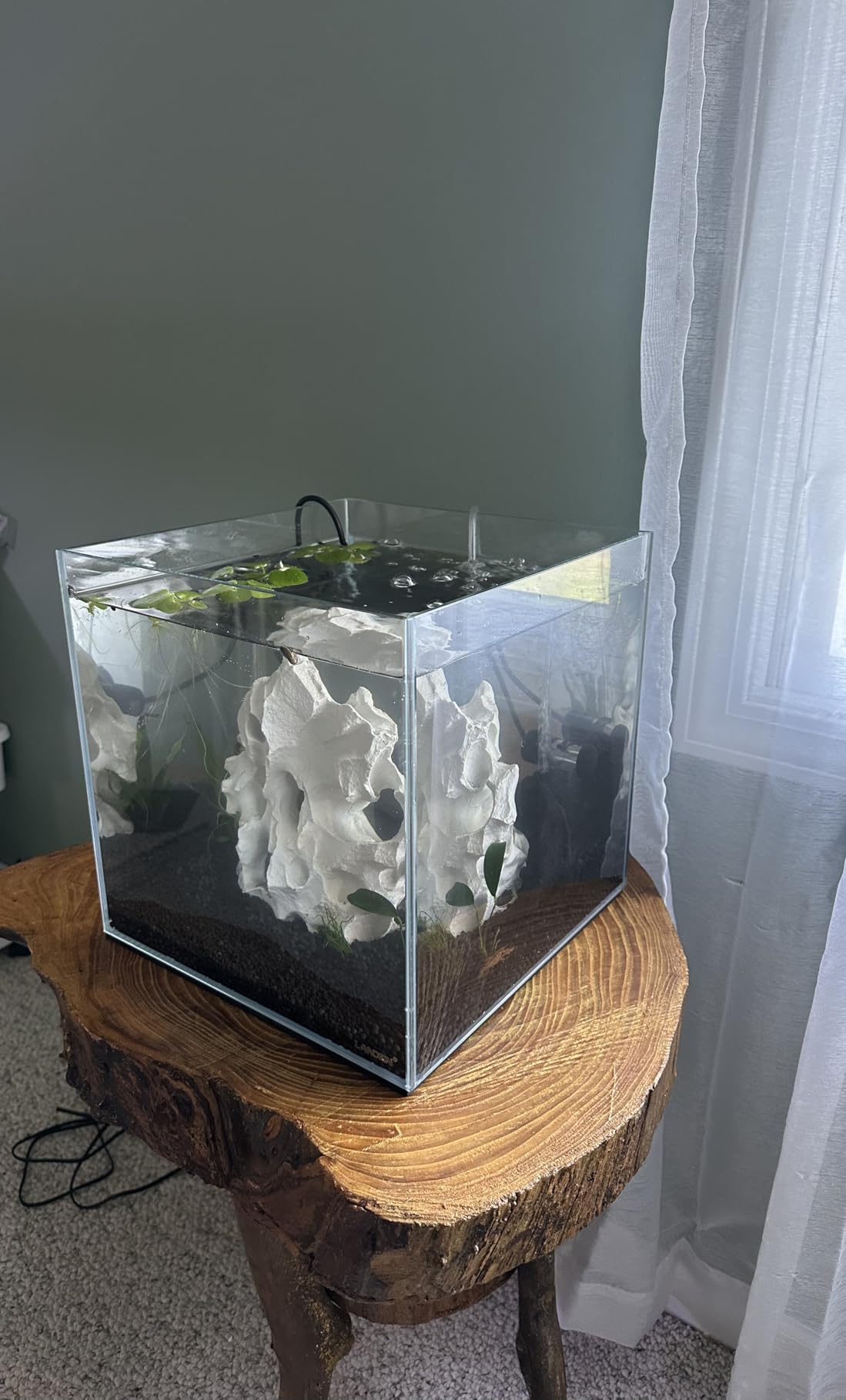 LANDEN Aquarium Cube 52.4 Gallon Ultra Clear Glass Rimless Fish Tank 60C customer photo 1