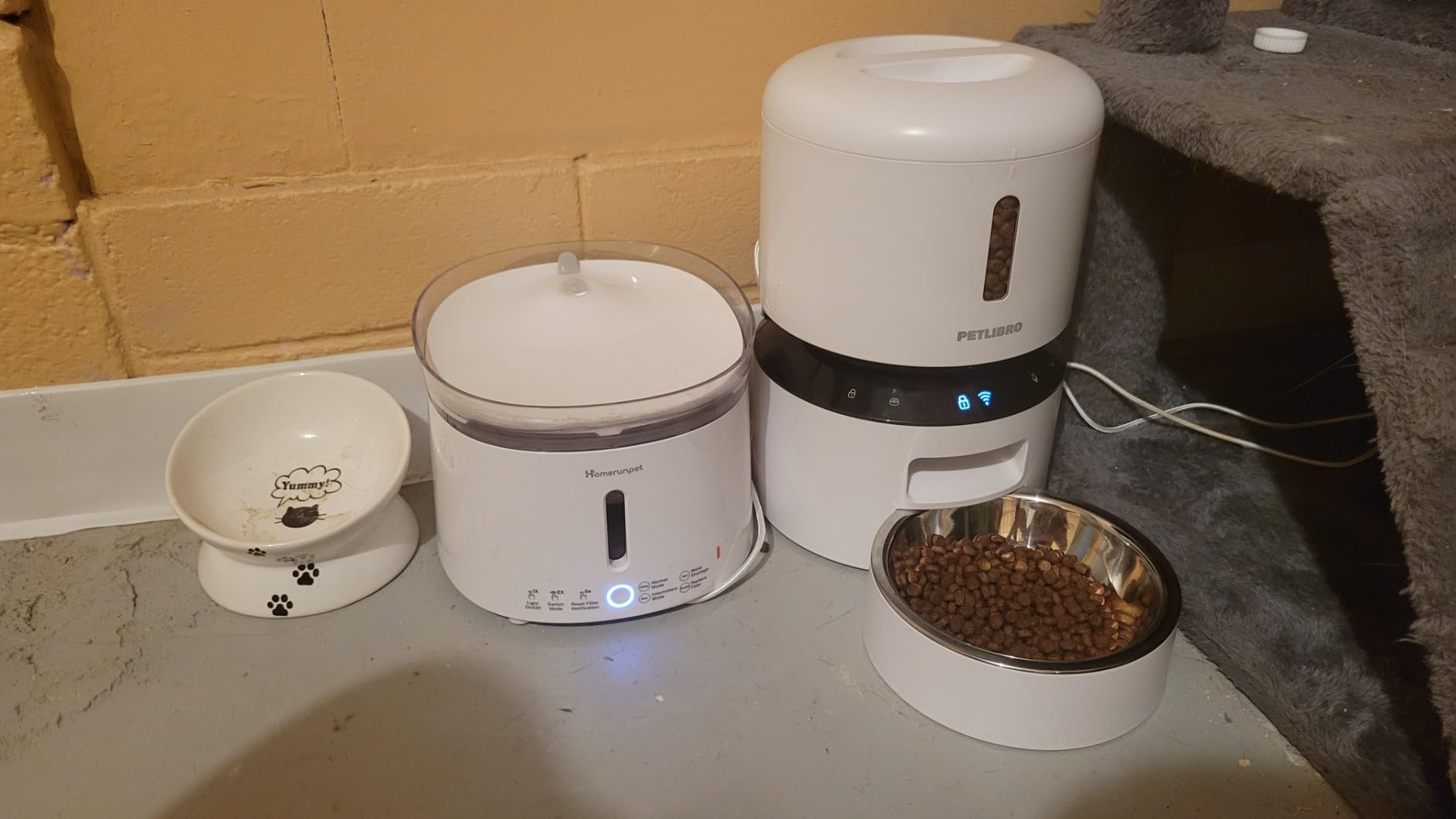 PETLIBRO Automatic Dog Feeder with Camera, Auto Cat Food Dispenser Slow Feeders Dogs Bowl, 1080P HD Video with Night Vision, 5G WiFi with 2-Way Audio, Stainless Steel Slow Food Tray for Small Dogs customer photo 2