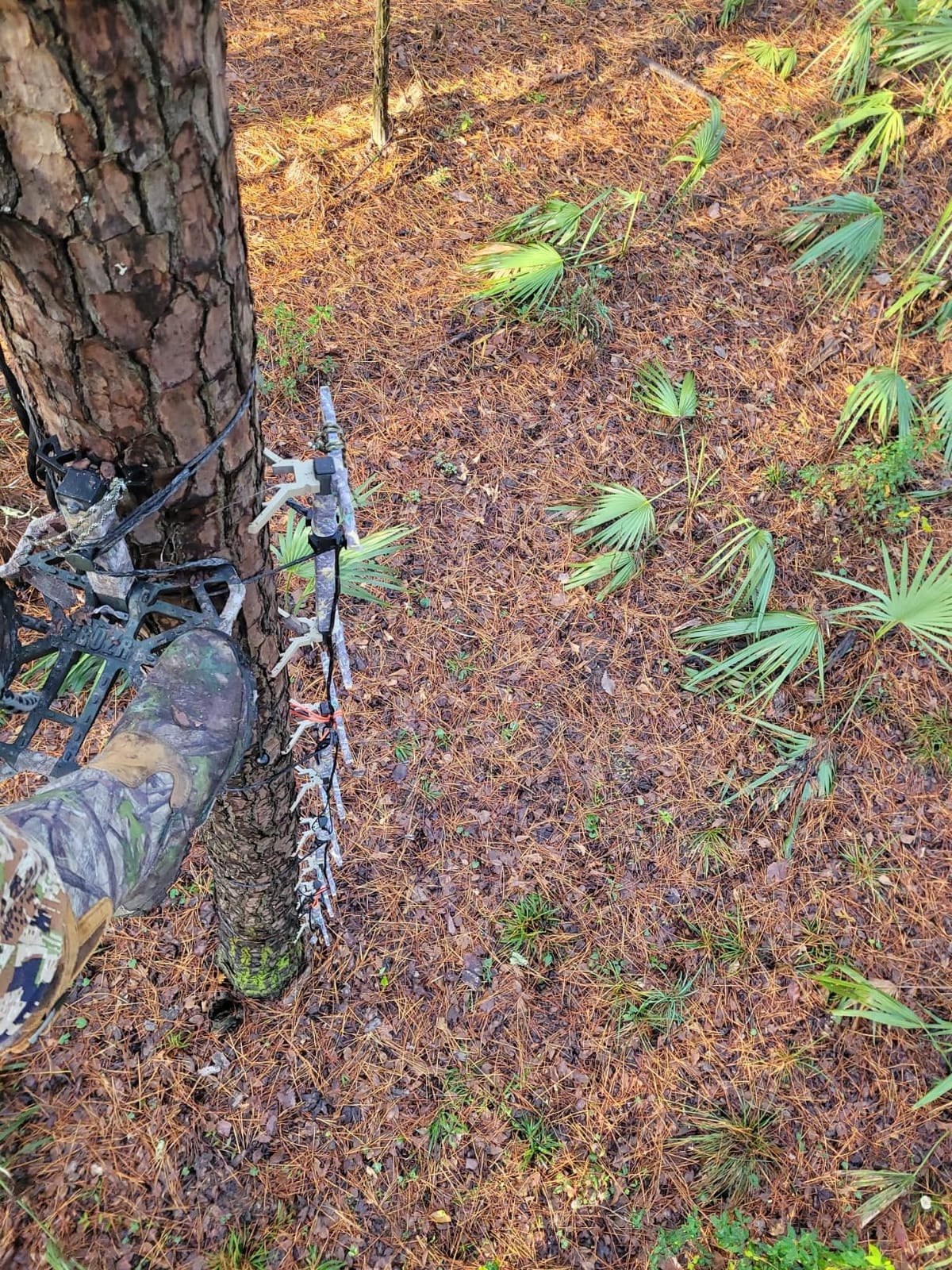 XOP- X2 Hunting Climbing Steps - Double Step Climbing Sticks for Hunting customer photo 2