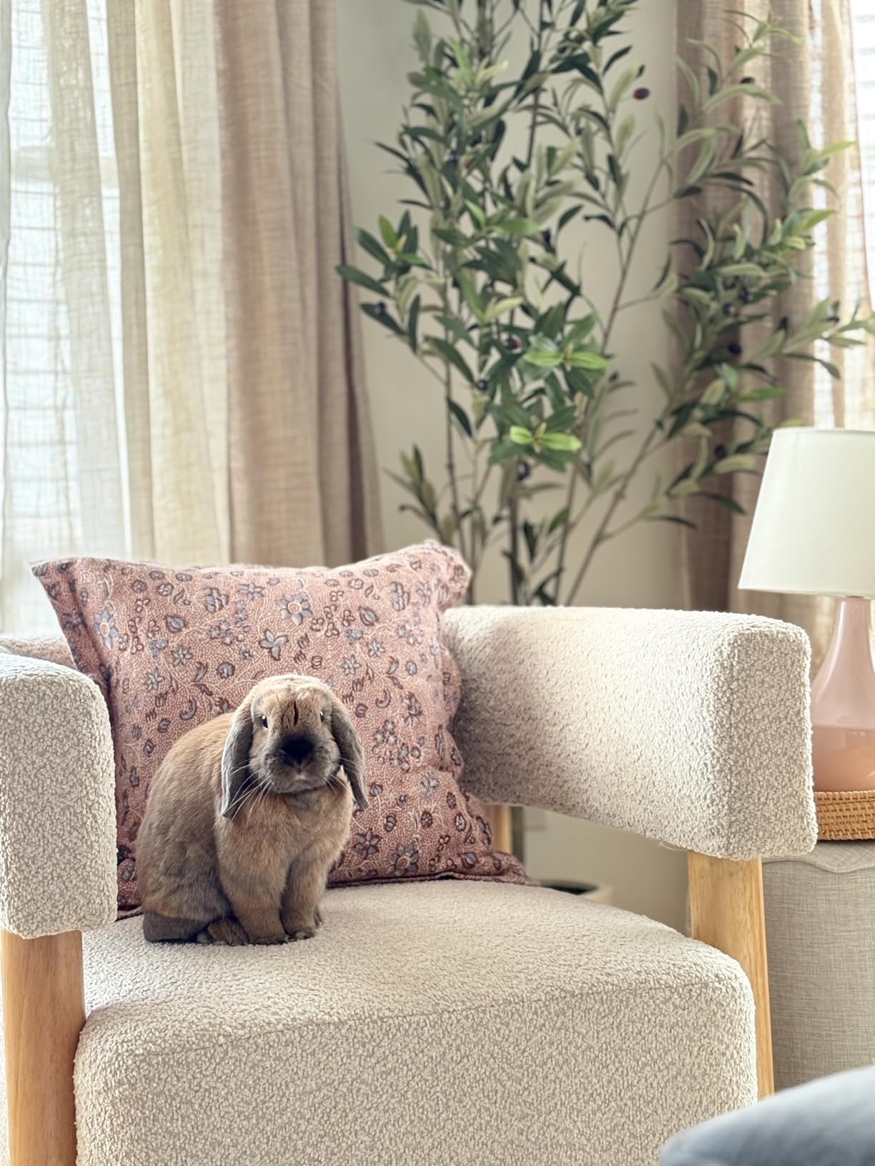 Christopher Knight Home Carly Low Profile Accent Chair, Round Backrest Side Chair, Living Room Armchair with Boucle Fabric Cushion, Comfy Reading Chair for Bedroom, Wooden Single Lounge Sofa, Wheat customer photo 1