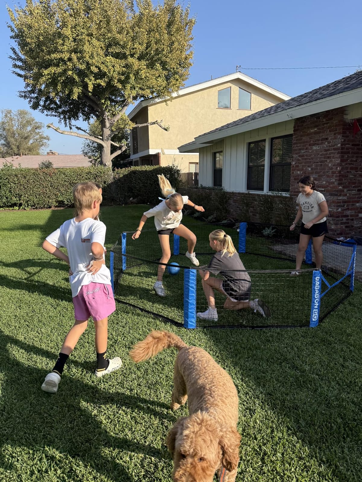 GoSports 10 ft Gagagon Go Portable Gaga Ball Pit customer photo 1