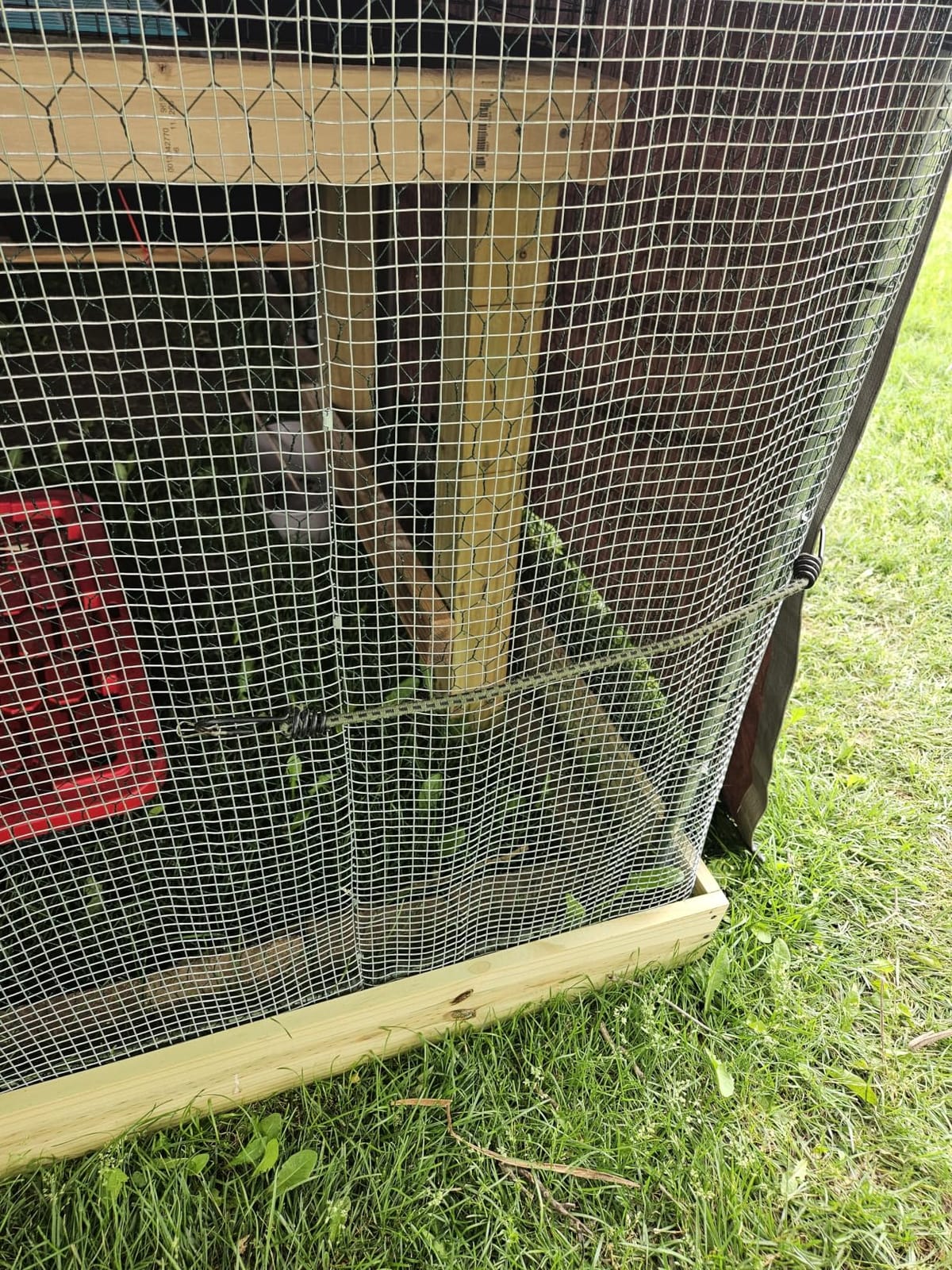 VEVOR Large Metal Chicken Coop,6.6 x 3.3 x 6.6 ft, Walk-in Chicken Run House with Waterproof Cover & Sturdy Frame, Spire Roof Poultry Cage Duck Pen for Rabbit Hen Goose Outdoor Backyard Farm Use customer photo 2