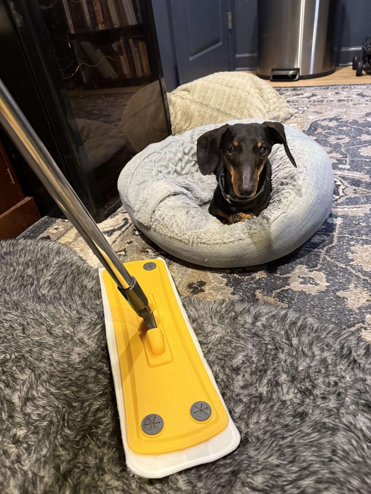 qimedo Cordless Electric Mop M3, 6000mAh, 2-in-1 Power Scrubber & Mops customer photo 1