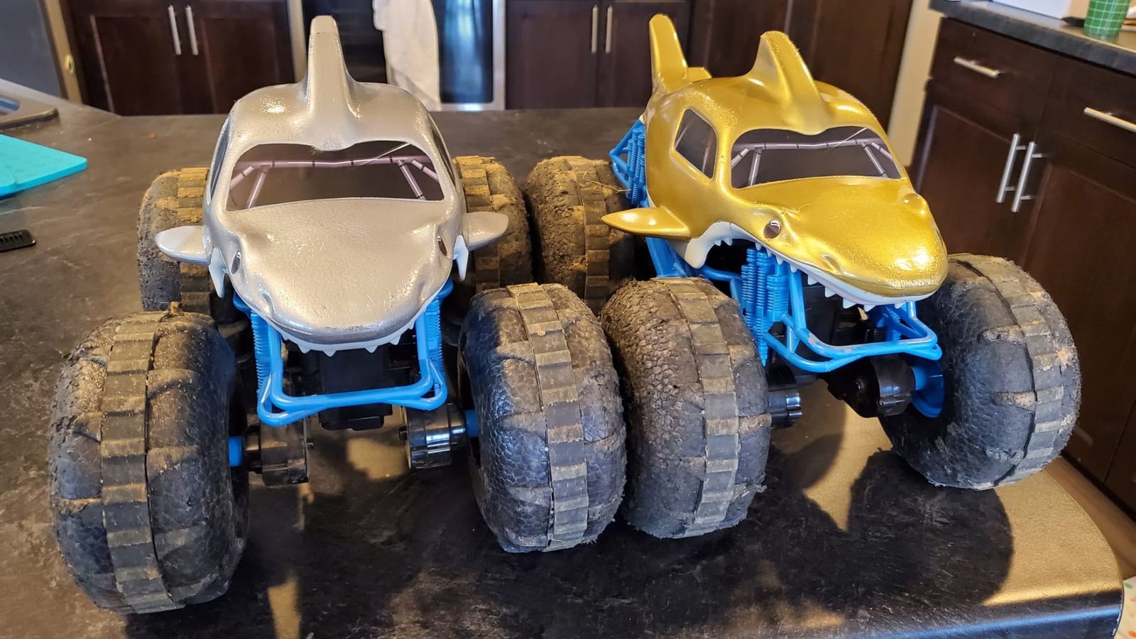 Monster Jam Chomping Megalodon RC Toy Monster Truck, 1:15 Scale customer photo 1