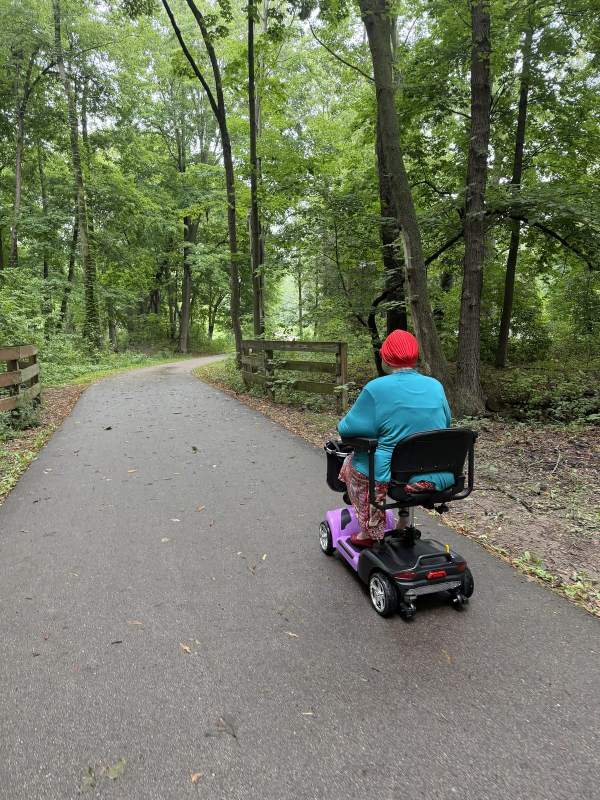 45Miles Mobility Scooter for Seniors/Adults,All Terrain Mobility Scooter customer photo 2