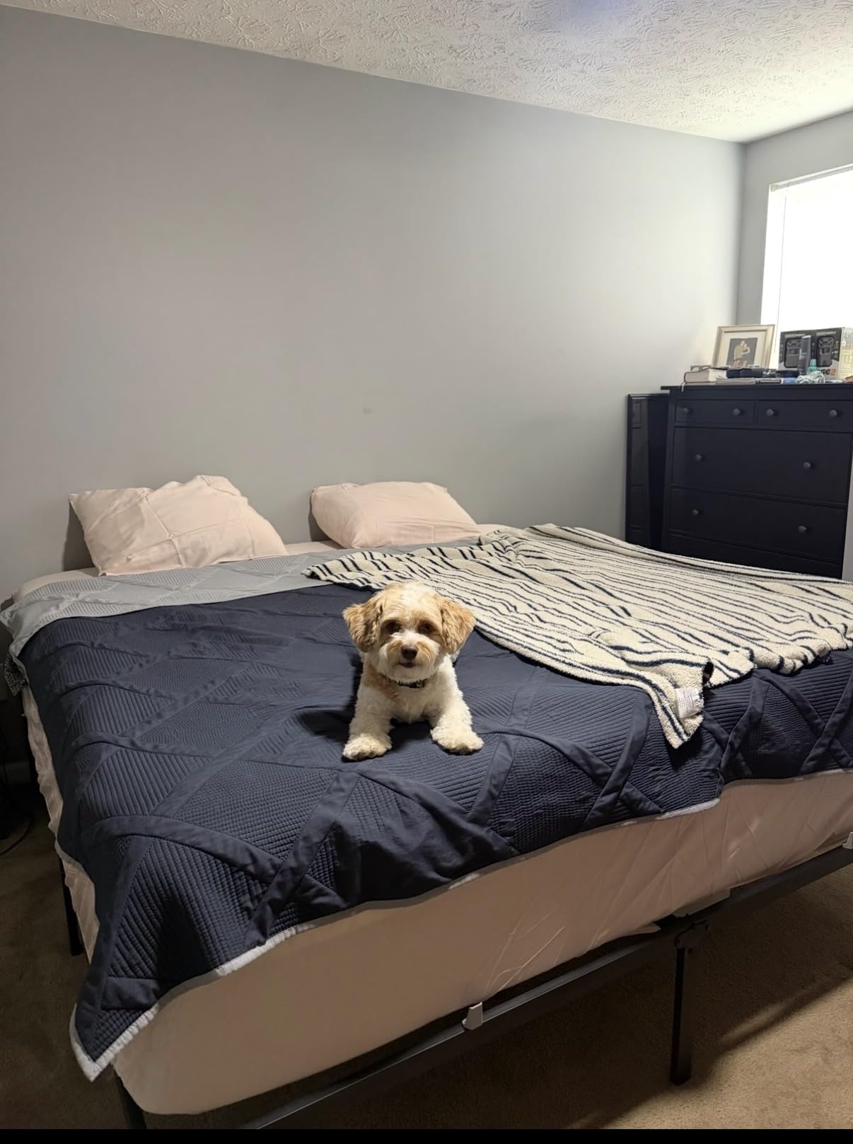 VASAGLE Full Metal Bed Frame, 16 Inches Tall, 1100 lb Weight Capacity customer photo 2