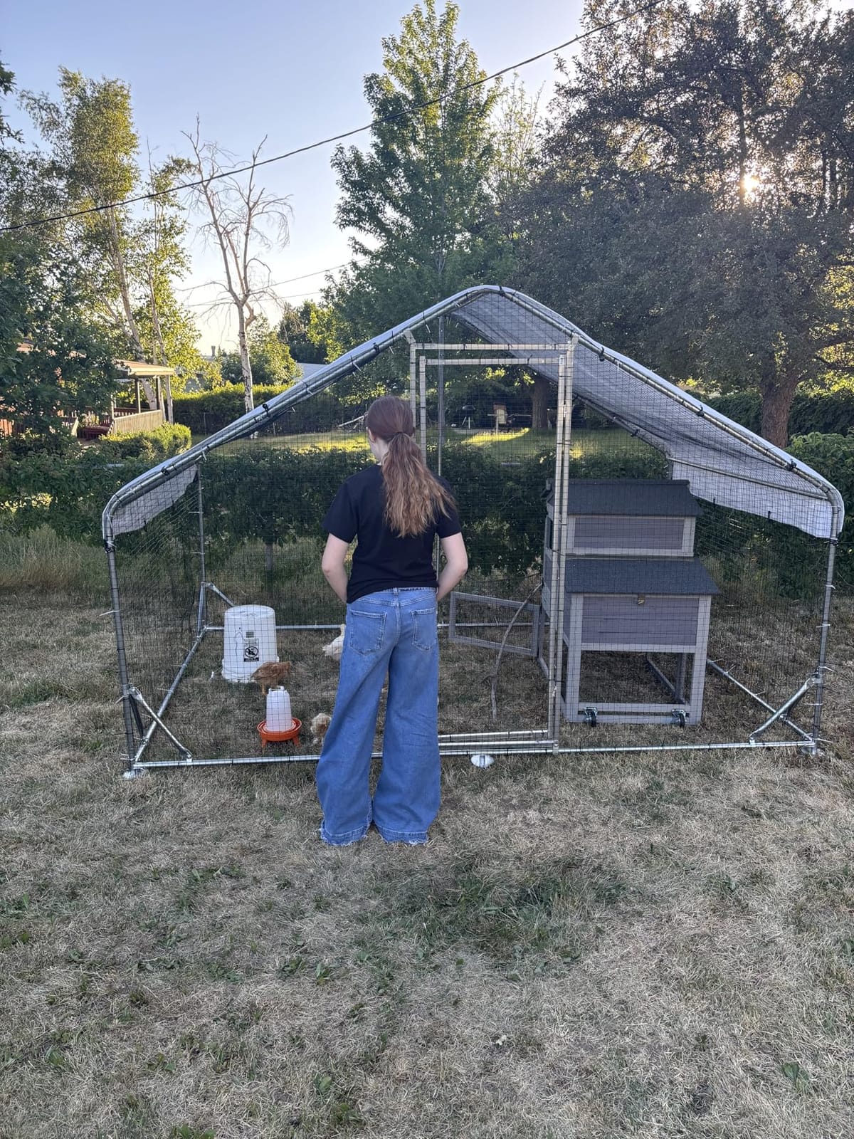Metal Chicken Coop with Hardware Cloth, Walk-in Poultry Cage for Hen Duck | Hardware Cloth, Solar Light Included, UV-Resistant Waterproof Cover, Large Walk-in Space for 15-20 Birds customer photo 1