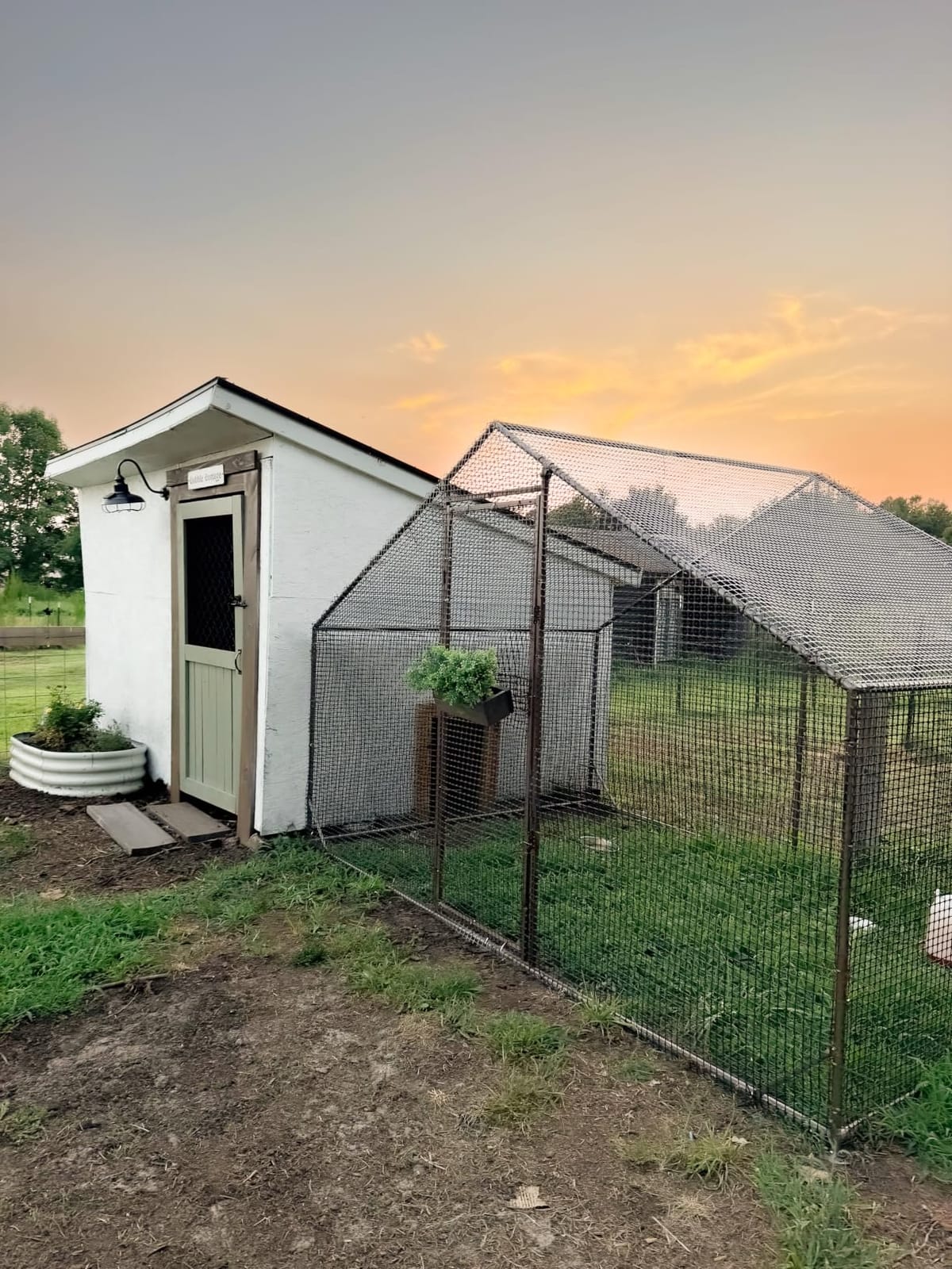Large Walk-in Chicken Coop with Chicken Run, Galvanized Poultry Enclosure with Waterproof Anti-UV Cover and Security Lock, Ideal for Rabbit, Duck, Backyard and Farm Yard, 19.7'x 9.8'x 6.6' customer photo 1