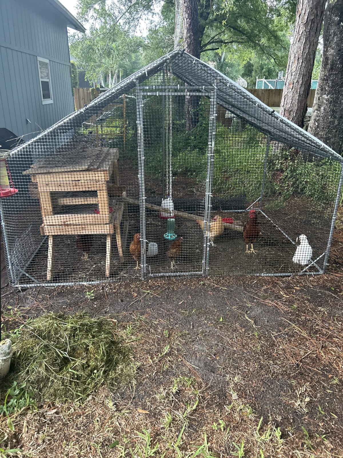 Large Walk-in Chicken Coop with Chicken Run, Galvanized Poultry Enclosure with Waterproof Anti-UV Cover and Security Lock, Ideal for Rabbit, Duck, Backyard and Farm Yard, 19.7'x 9.8'x 6.6' customer photo 2