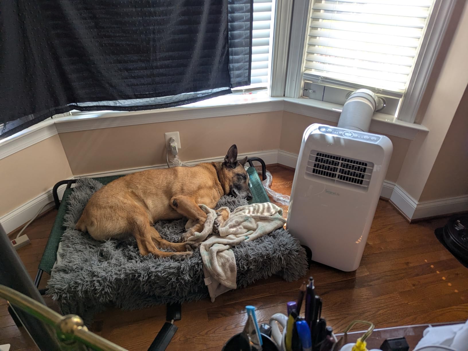 SereneLife 14,000 BTU Portable Air Conditioner with Dehumidifier, Heat, & Fan | Portable AC Unit for Wide Area Climate Control | Compact Standing Air Conditioner with Window Kit customer photo 2
