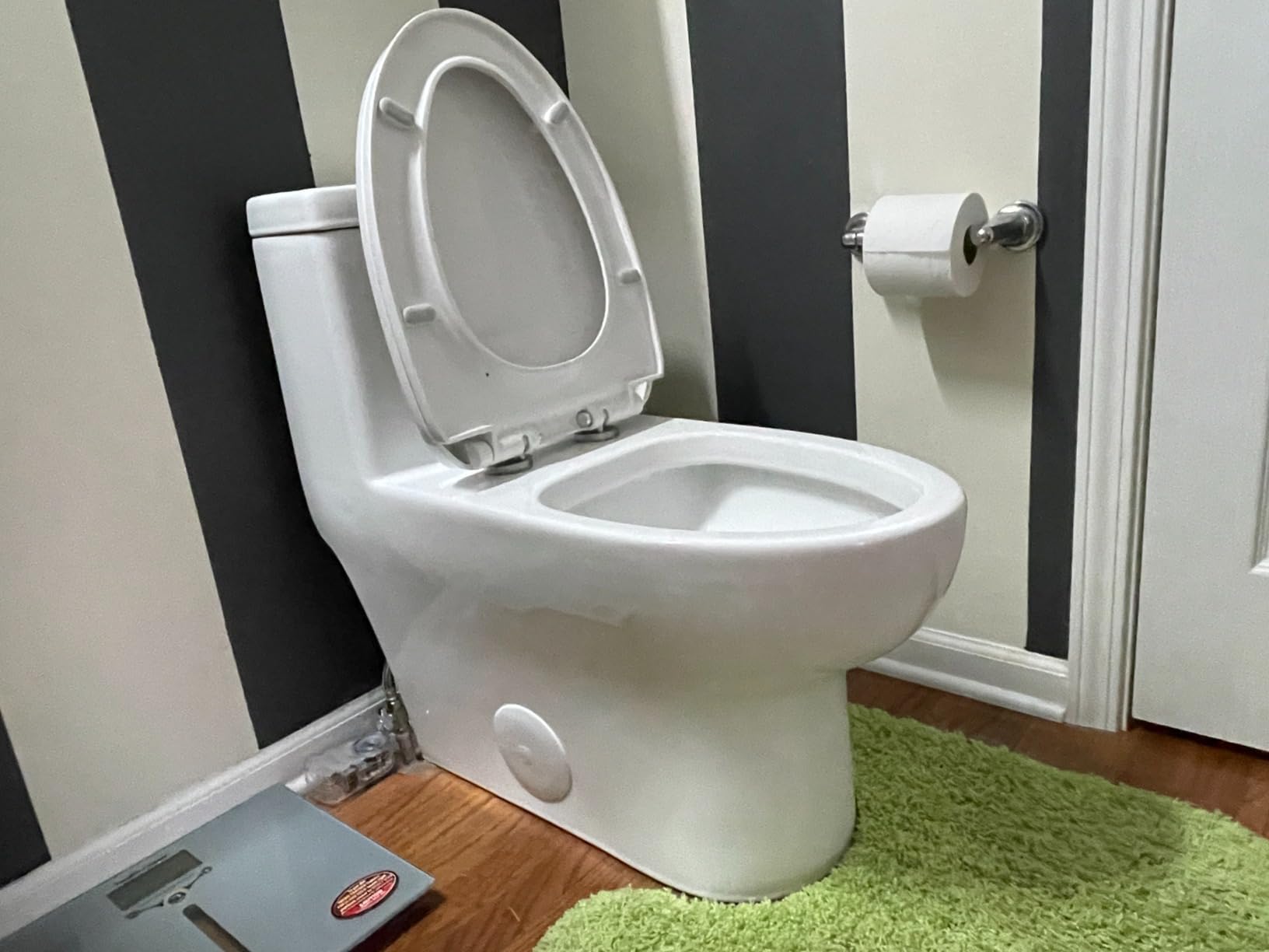 DeerValley Elongated One Piece Toilet with Efficient Dual Flush 1.1/1.6 GPF customer photo 1
