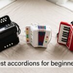 best accordions for beginners