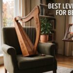 best lever harps for beginners
