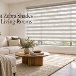 Best Zebra Shades for Living Rooms