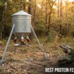 best protein feeders for deer
