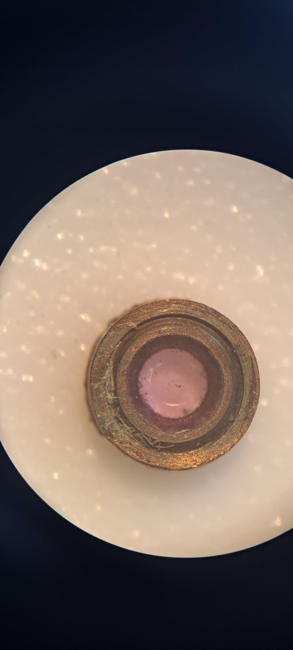 AmScope SE306R-PZ Forward Binocular Stereo Microscope, WF10x and WF20x customer photo 1