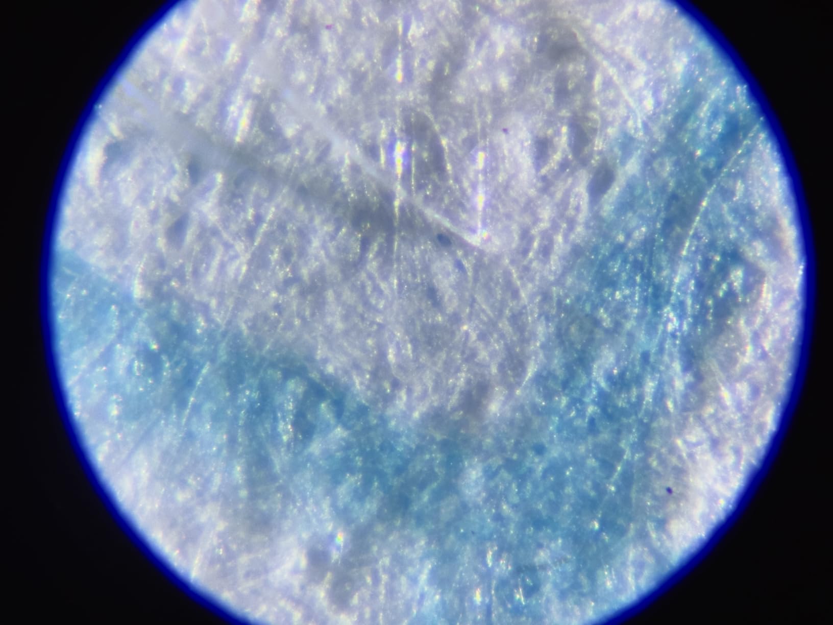Carson MicroBrite Plus 60x-120x LED Lighted Pocket Microscope customer photo 1