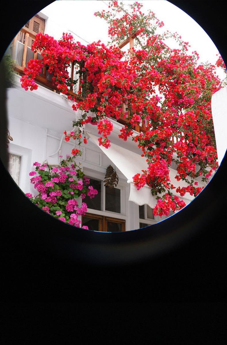 USCAMEL Compact Binoculars for Adults 8x21: Small Binoculars for Travel customer photo 2