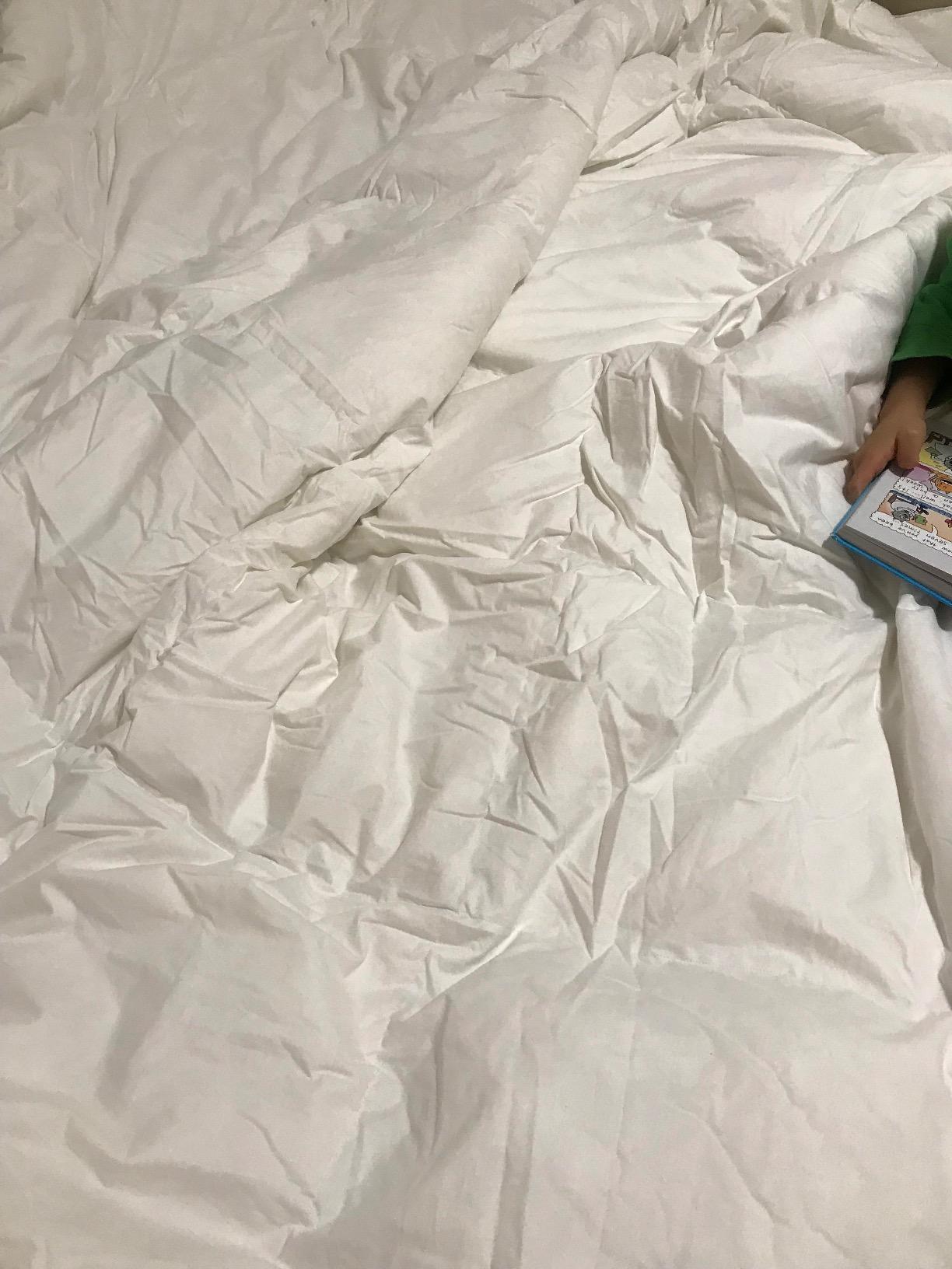Globon Winter Down Comforter King Size,Heavyweight Duvet Insert,White customer photo 1