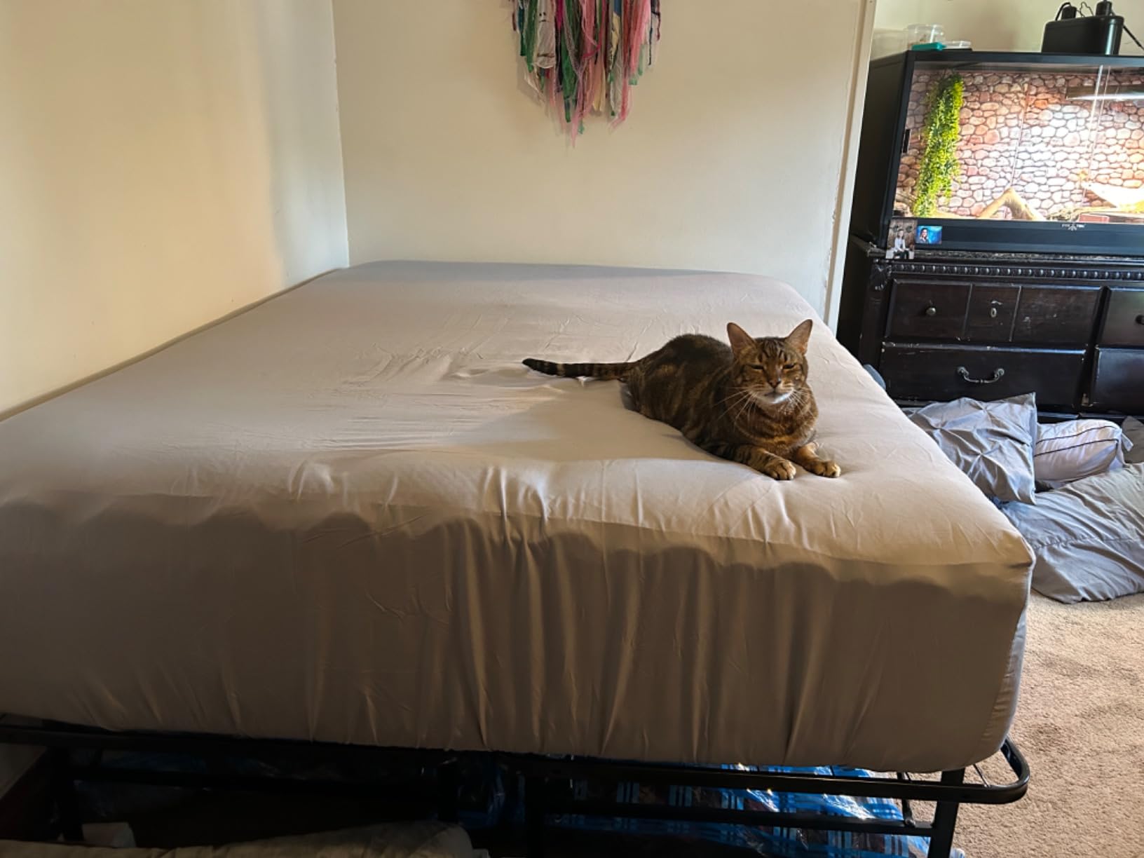Bare Home Deep Pocket Fitted Sheet (Queen - 22
