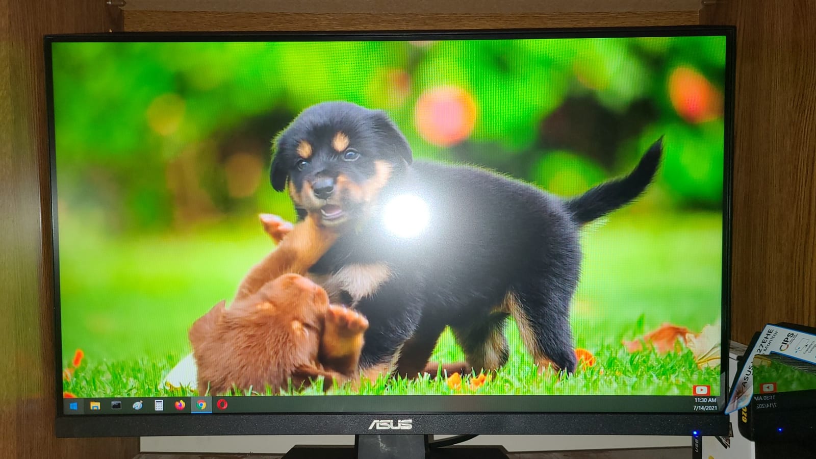 ASUS 27 Inch Desktop Monitor - Full HD (1920 x 1080), IPS, 75Hz, Adaptive-Sync, HDMI, D-Sub, Frameless - VA27EHE customer photo 2