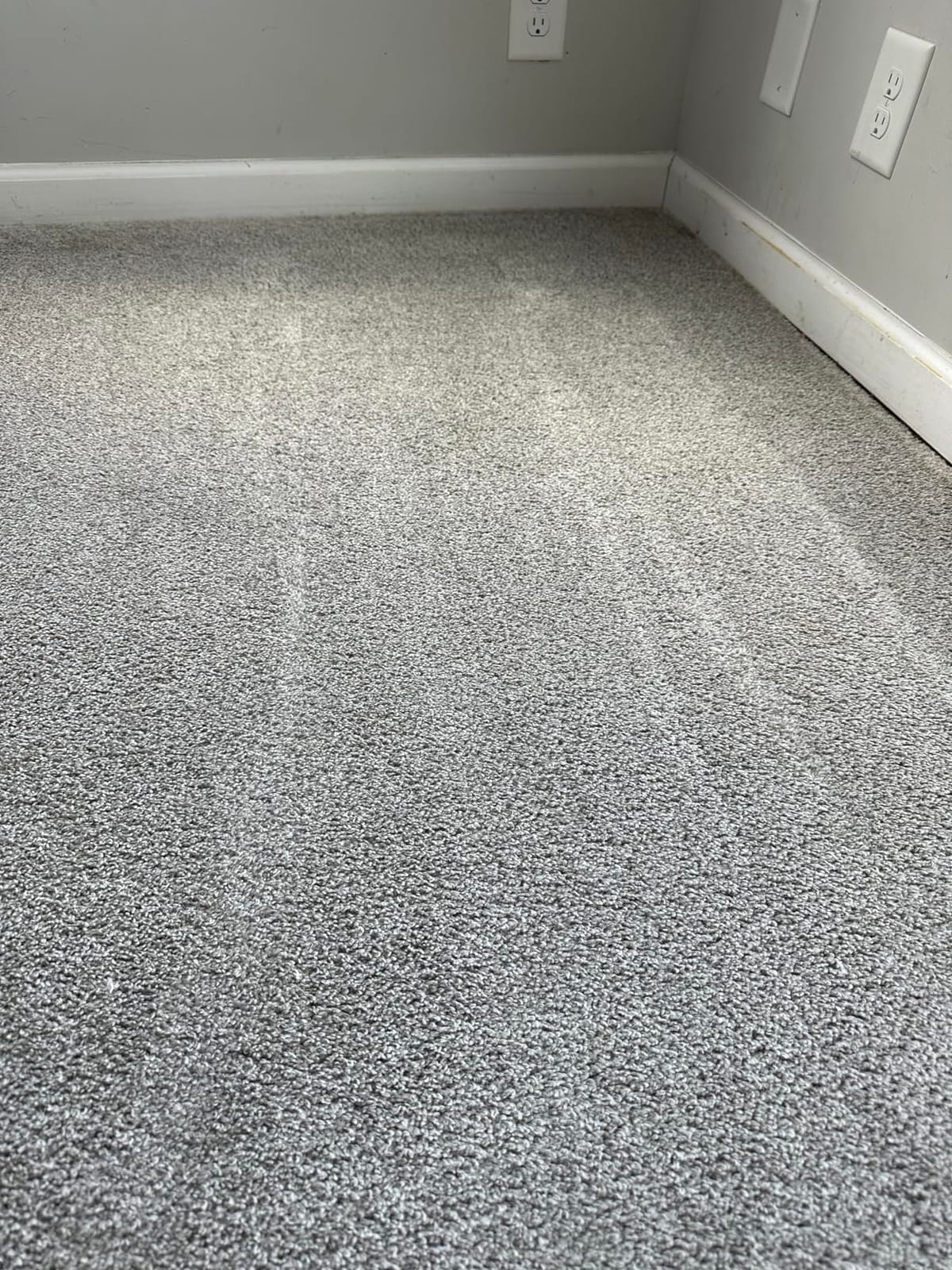Rug Doctor Mighty Pro X3 Commercial Carpet Cleaner with Oxy Cleaner Pack customer photo 2