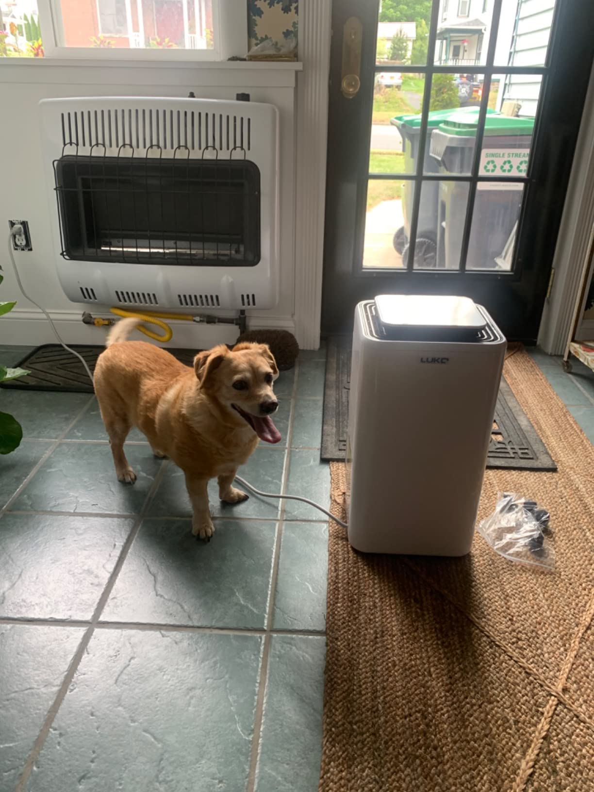 LUKO 2000 Sq. Ft Dehumidifiers for Large Room and Basements, 30 Pints Dehumidifier with Drain Hose, Auto or Manual Drainage, 0.528 Gallon Water Tank, Auto Defrost, Dry Clothes Function, 24H Timer customer photo 1