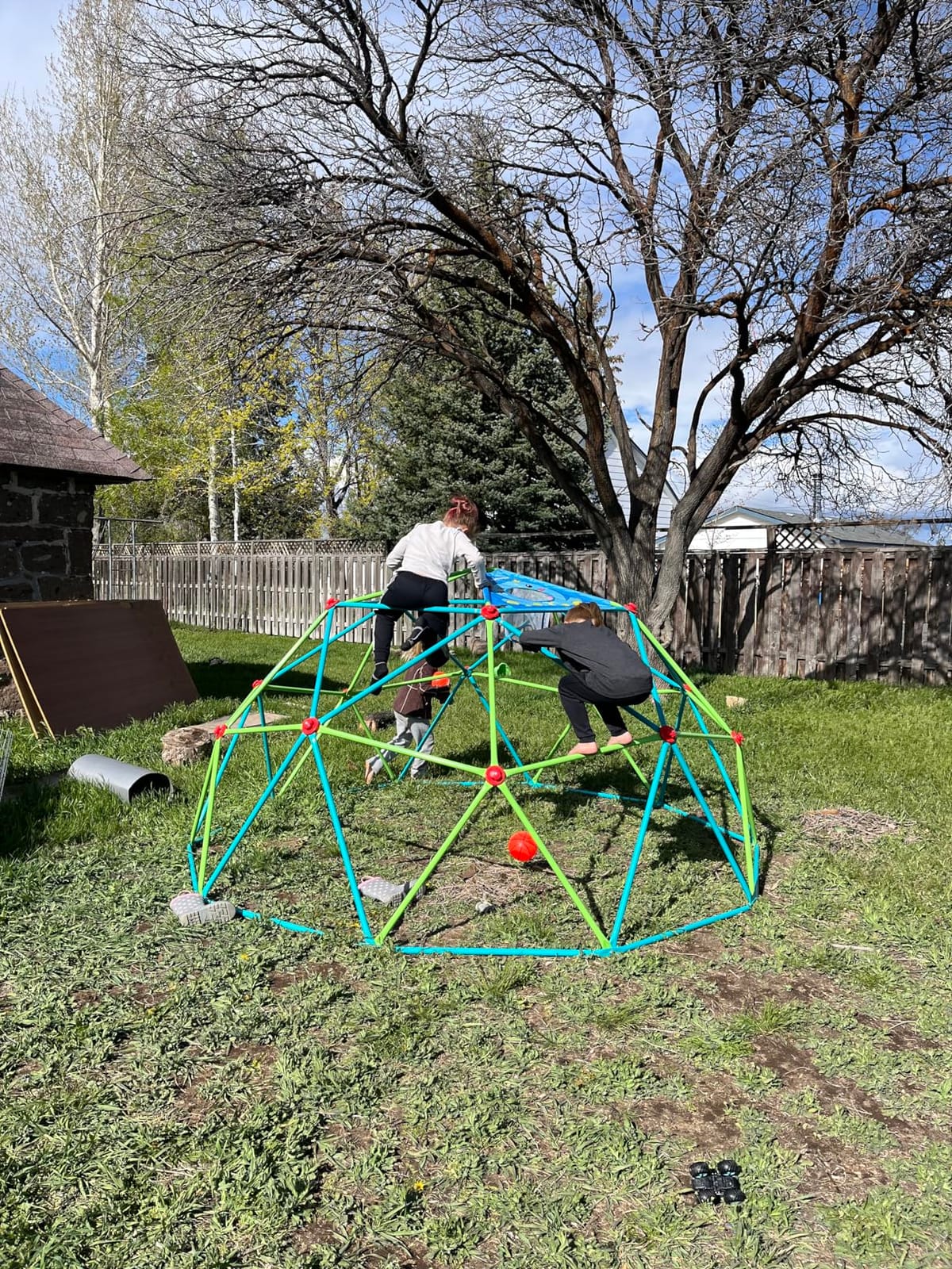 Zupapa 10FT Climbing Dome, Outdoor Jungle Gym for Kids with Climbing Grip - Geometric Dome Climber Outdoor Playset and Easy Assembly Outdoor Play Equipment for Kids (Purple, 10FT) customer photo 1