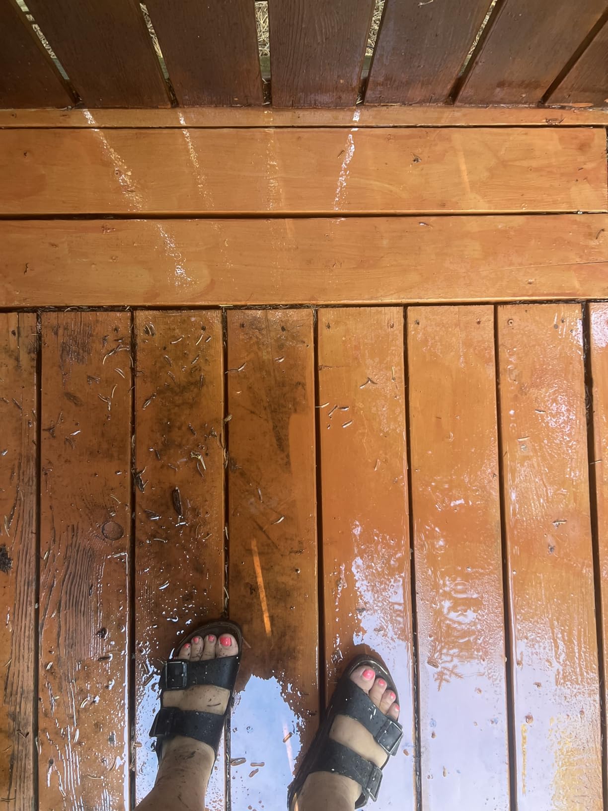 Greenworks 2000 PSI (1.2 GPM) Electric Pressure Washer customer photo 1
