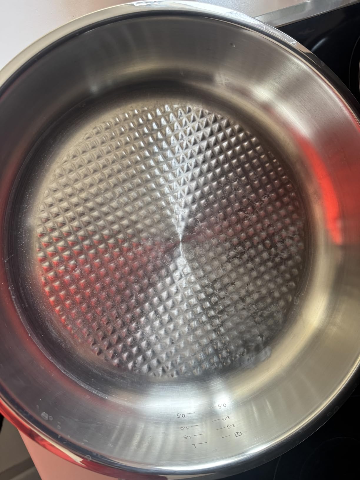 Fissler Original-Profi Collection Stainless Steel 9.5 Inch Frying Pan — Made in Germany, Novogrill® Searing Surface, Induction Ready, Oven Safe customer photo 2