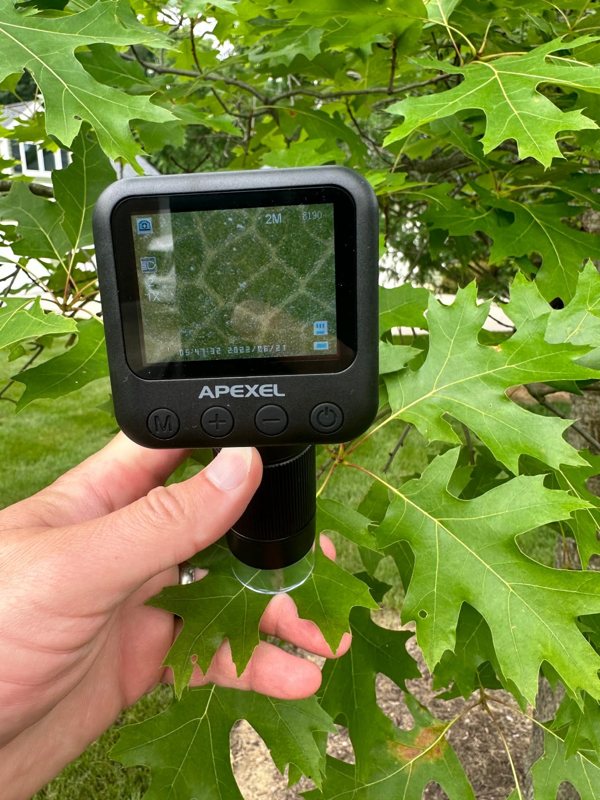 APEXEL 800X Handheld Digital Microscope with 2” LCD Screen, Pocket Portable Microscope with Adjustable LED Lights, Coins Microscopes Magnifier Camera, USB to PC (SD Card Not Included) customer photo 2
