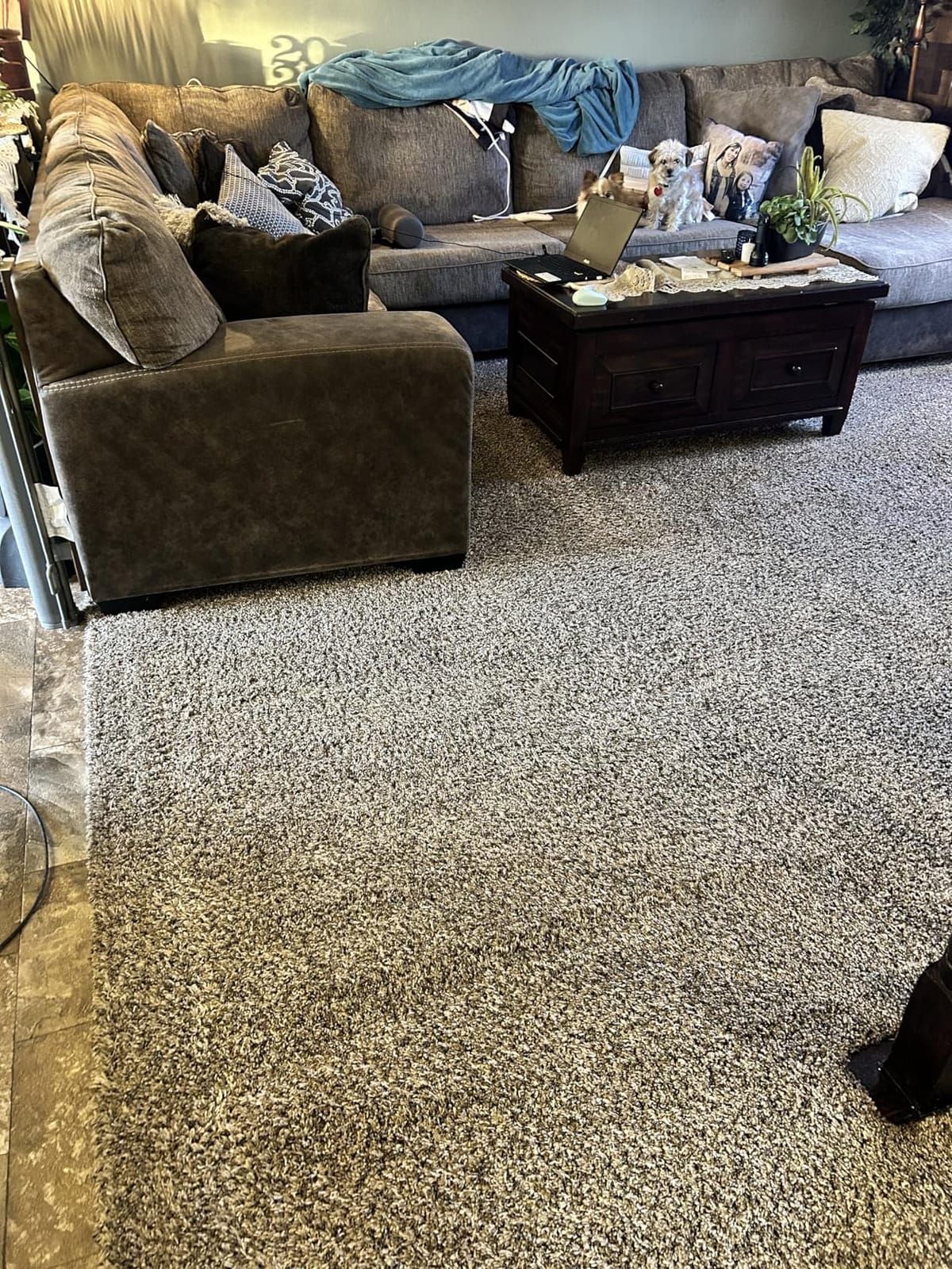 Bissell SurfaceSense Allergen Lift-Off Pet Upright Vacuum, 3418 customer photo 2