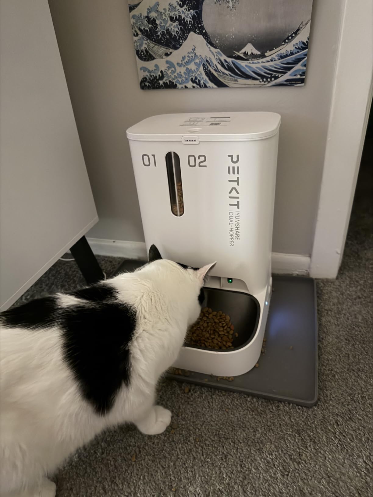 PETKIT Automatic Cat Dog Feeder with Camera, AI-Powered Motion Capturing, 1080P HD Video with Night Vision, 2.4G WiFi Pet Feeder with 2-Way Audio, Dual Hopper Pet Food Dispenser with Desiccant customer photo 1
