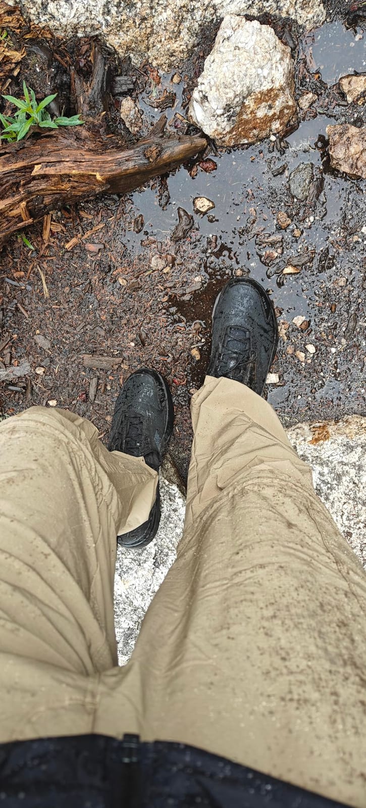 adidas Men's Terrex Anylander Rain.rdy Hiking Shoes customer photo 1