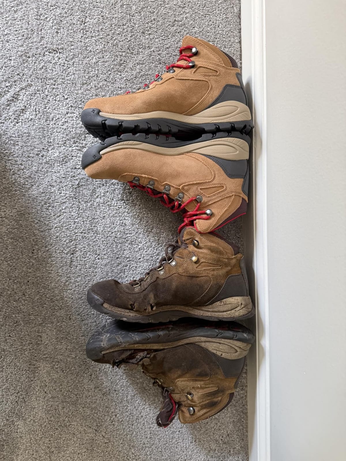 Columbia womens Newton Ridge Plus Waterproof Amped customer photo 2
